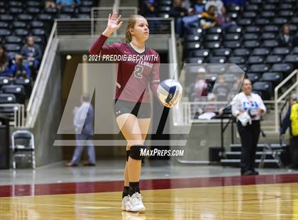 Thumbnail 1 in Blum vs. Fayetteville (UIL Volleyball 1A Finals) photogallery.