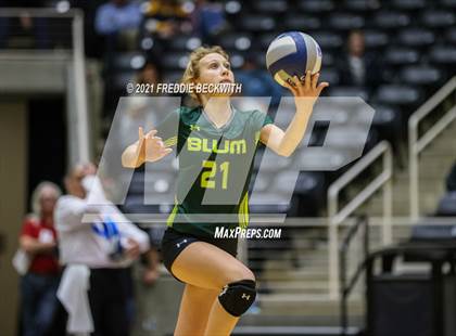Thumbnail 3 in Blum vs. Fayetteville (UIL Volleyball 1A Finals) photogallery.