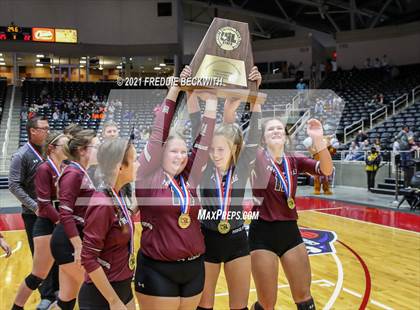 Thumbnail 3 in Blum vs. Fayetteville (UIL Volleyball 1A Finals) photogallery.