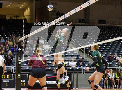 Thumbnail 1 in Blum vs. Fayetteville (UIL Volleyball 1A Finals) photogallery.