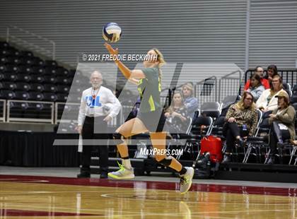 Thumbnail 1 in Blum vs. Fayetteville (UIL Volleyball 1A Finals) photogallery.