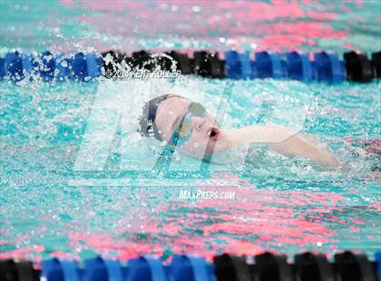 Thumbnail 2 in Cousino @ Utica photogallery.