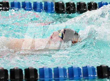 Thumbnail 1 in Cousino @ Utica photogallery.