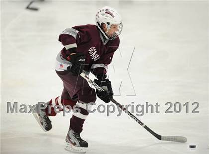 Thumbnail 1 in Scarsdale @ Brewster (Section 1 Division 2 Quarterfinal) photogallery.