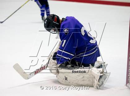 Thumbnail 3 in Landon vs Gonzaga  (MAPHL AA Final) photogallery.
