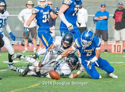 Thumbnail 1 in Bellarmine @ Serra photogallery.