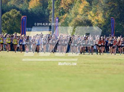 Thumbnail 2 in NCHSAA 4A Girls Cross Country Championships photogallery.