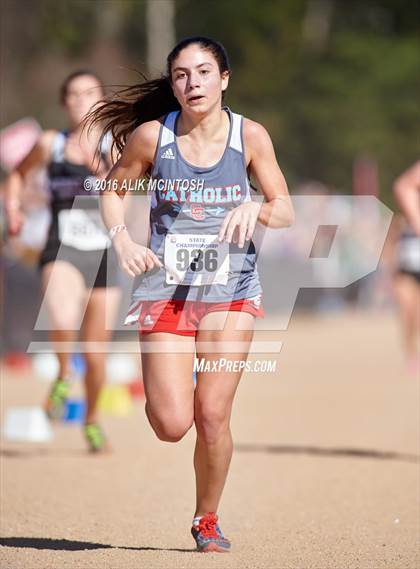 Thumbnail 2 in NCHSAA 4A Girls Cross Country Championships photogallery.