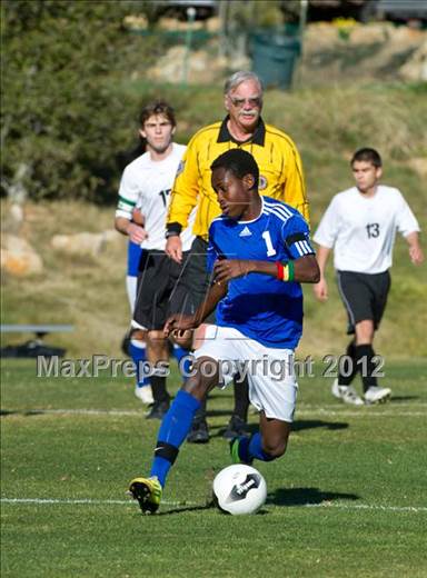 null - Photo 81