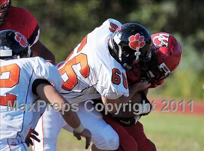 Thumbnail 1 in Ridgefield @ Wilbur Cross photogallery.