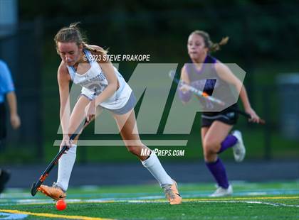 Thumbnail 3 in Potomac Falls @ Stone Bridge photogallery.