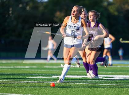 Thumbnail 3 in Potomac Falls @ Stone Bridge photogallery.