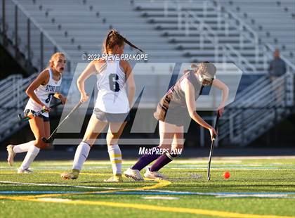 Thumbnail 1 in Potomac Falls @ Stone Bridge photogallery.