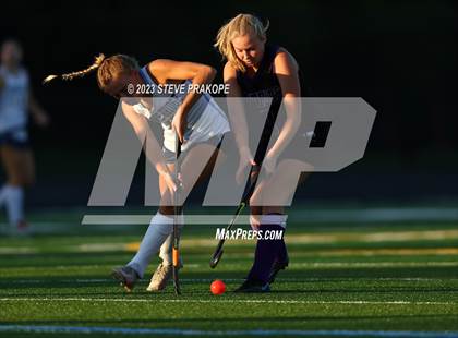 Thumbnail 3 in Potomac Falls @ Stone Bridge photogallery.