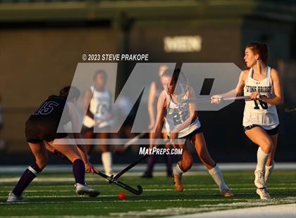 Thumbnail 1 in Potomac Falls @ Stone Bridge photogallery.