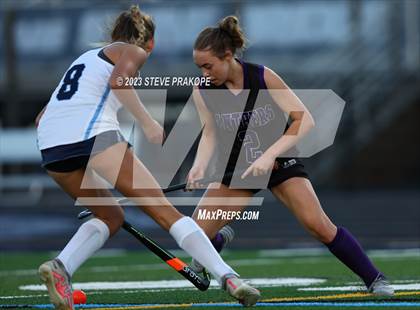 Thumbnail 3 in Potomac Falls @ Stone Bridge photogallery.