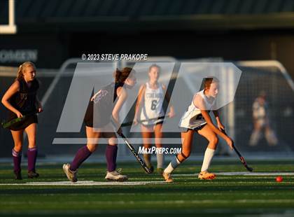 Thumbnail 3 in Potomac Falls @ Stone Bridge photogallery.