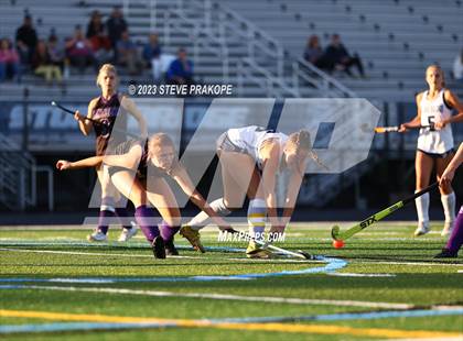 Thumbnail 3 in Potomac Falls @ Stone Bridge photogallery.