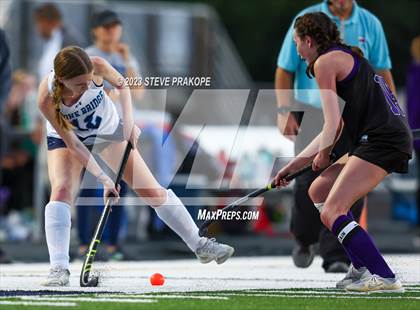 Thumbnail 3 in Potomac Falls @ Stone Bridge photogallery.