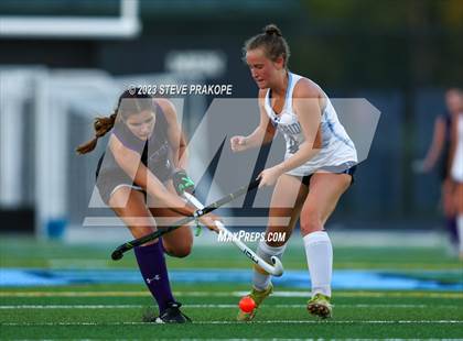 Thumbnail 3 in Potomac Falls @ Stone Bridge photogallery.