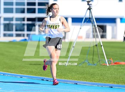 Thumbnail 3 in IMG Academy Invitational (Track Events) photogallery.