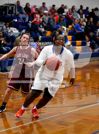 Thumbnail 1 in Prattville @ Chilton County photogallery.