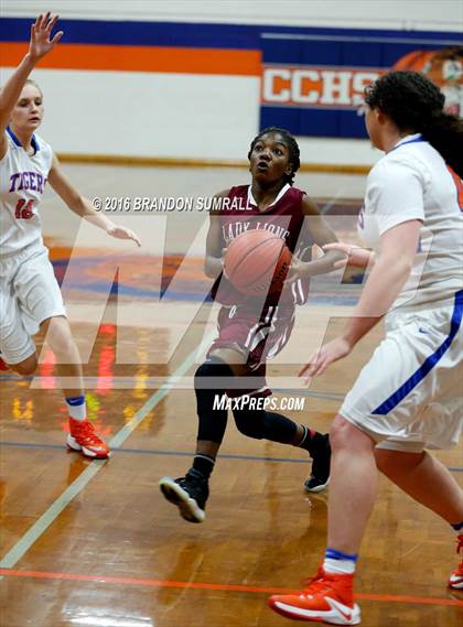 Thumbnail 2 in Prattville @ Chilton County photogallery.