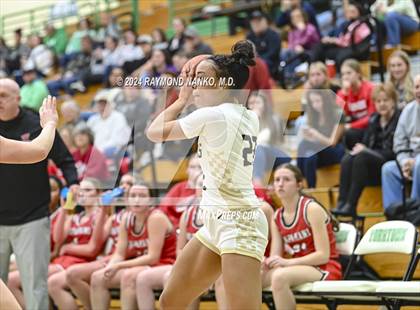 Thumbnail 1 in Wapahani vs Daleville (Delaware County Tournament)  photogallery.