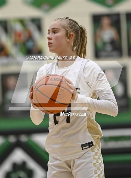 Thumbnail 1 in Wapahani vs Daleville (Delaware County Tournament)  photogallery.