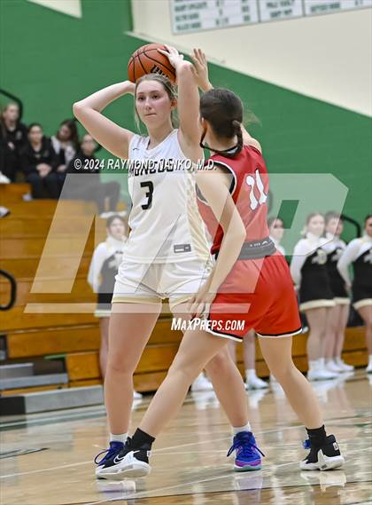 Thumbnail 2 in Wapahani vs Daleville (Delaware County Tournament)  photogallery.