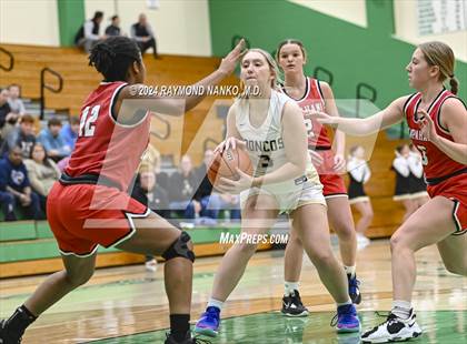 Thumbnail 1 in Wapahani vs Daleville (Delaware County Tournament)  photogallery.