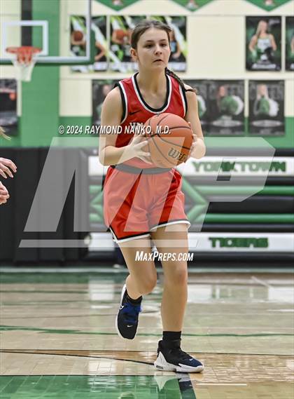 Thumbnail 1 in Wapahani vs Daleville (Delaware County Tournament)  photogallery.