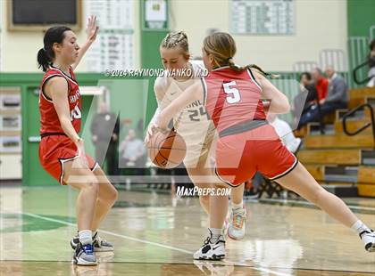 Thumbnail 1 in Wapahani vs Daleville (Delaware County Tournament)  photogallery.