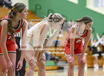Thumbnail 2 in Wapahani vs Daleville (Delaware County Tournament)  photogallery.