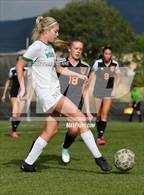 Photo from the gallery "Moriarty @ Taos"
