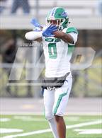 Photo from the gallery "Green Run @ Bayside"