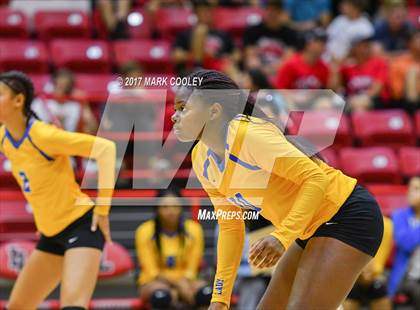 Thumbnail 3 in La Vega @ Lorena photogallery.