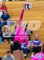 Photo from the gallery "Windsor @ Fort Collins"