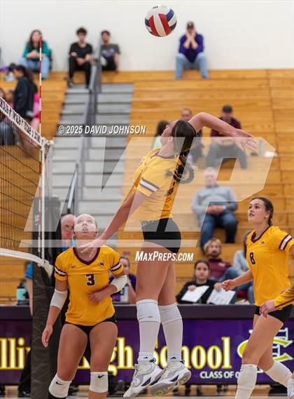 Thumbnail 2 in Windsor @ Fort Collins photogallery.