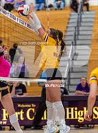 Photo from the gallery "Windsor @ Fort Collins"