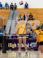 Photo from the gallery "Windsor @ Fort Collins"