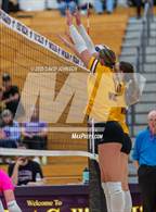 Photo from the gallery "Windsor @ Fort Collins"