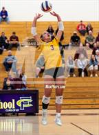 Photo from the gallery "Windsor @ Fort Collins"