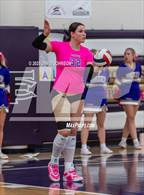 Photo from the gallery "Windsor @ Fort Collins"