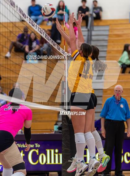 Thumbnail 3 in Windsor @ Fort Collins photogallery.
