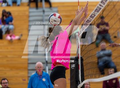 Thumbnail 3 in Windsor @ Fort Collins photogallery.