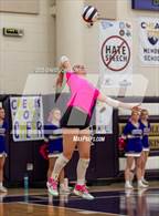 Photo from the gallery "Windsor @ Fort Collins"