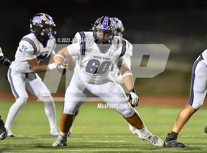 Thumbnail 2 in Cedar Ridge @ Vandegrift photogallery.