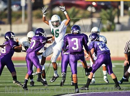 Thumbnail 3 in Oceanside @ Carlsbad photogallery.