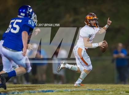 Thumbnail 3 in Greenback @ Harriman photogallery.